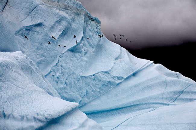 Исчезающие айсберги