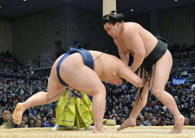 10 интересных фактов, которые вы не знали о сумо