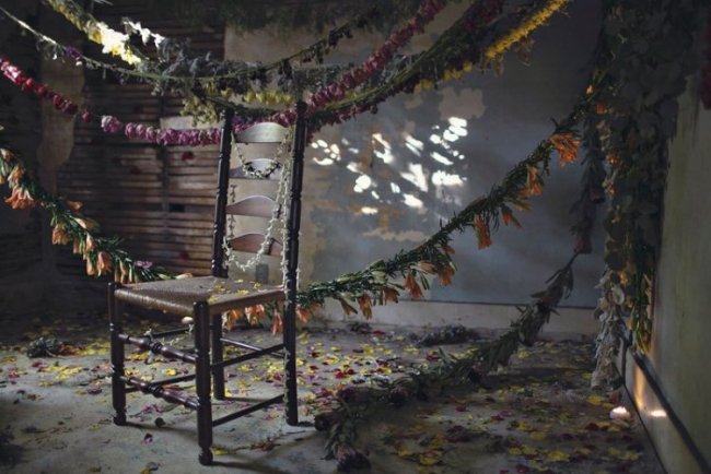 Флористы превратили заброшенный дом в храм цветов