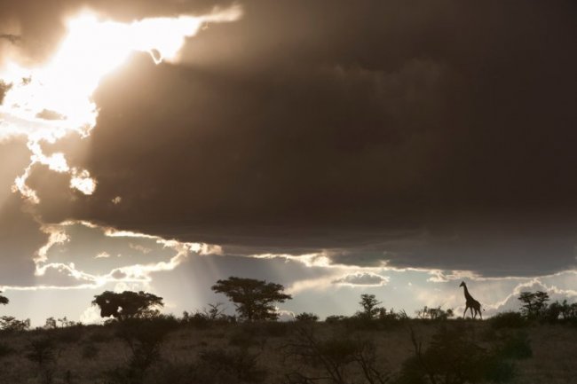 Восхитительные фотографии Африки