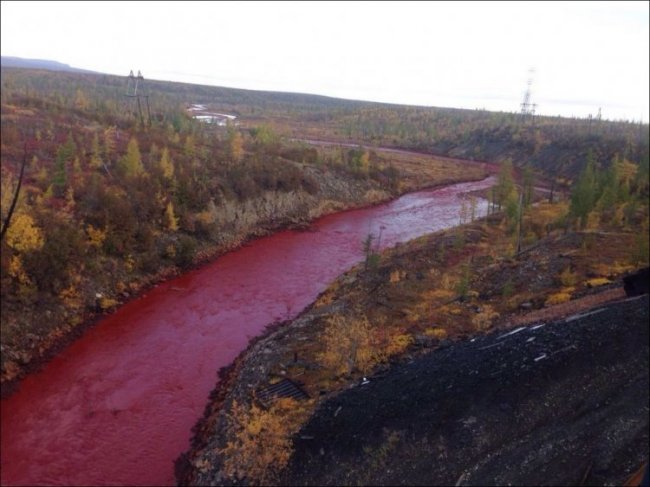Красная река в Норильске возле завода «Надежда»