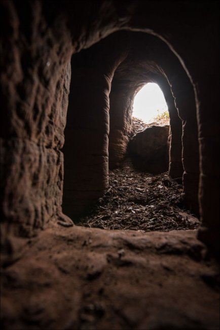 Кроличья нора, ведущая в пещеру рыцарей-тамплиеров