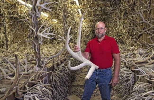 Американец собрал коллекцию из 15 000 рогов