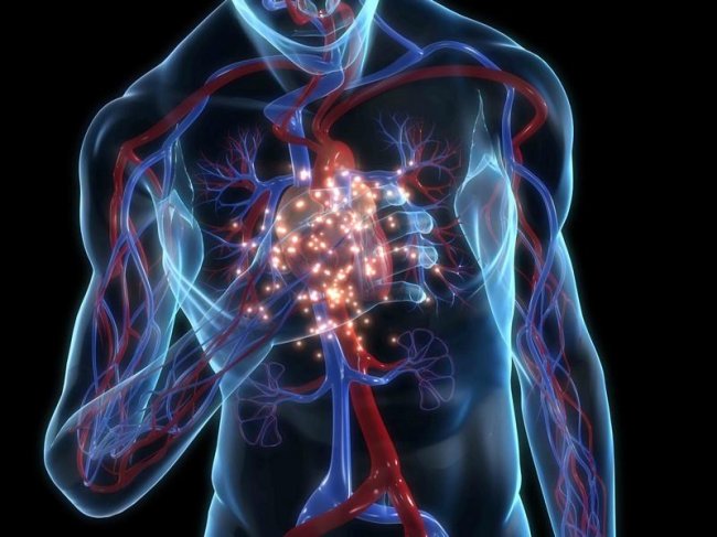  Магнитные наночастицы помогают сердцу быстрее восстановиться после инфаркта