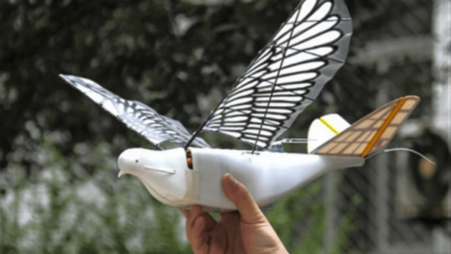 В Китае появились дроны, копирующие поведение голубей
