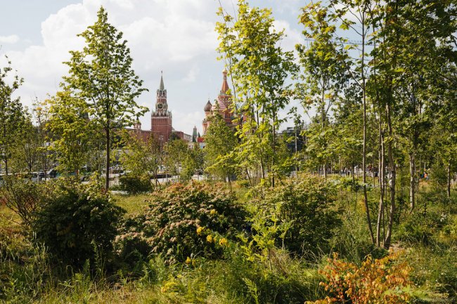 Парк Зарядье в Москве год спустя