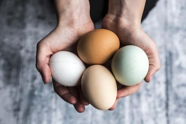 Почему коричневые куриные яйца лучше белых (фото)