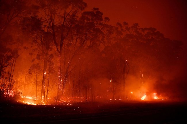 Пожары в Австралии 2020