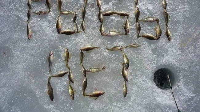 Зачем рыбаки возле лунки оставляют небольшую рыбку (6 фото)