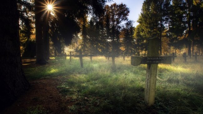 Что можно и чего нельзя делать на кладбище