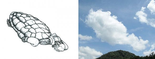 Чудные зверушки из облаков от Мартина Фейджоу