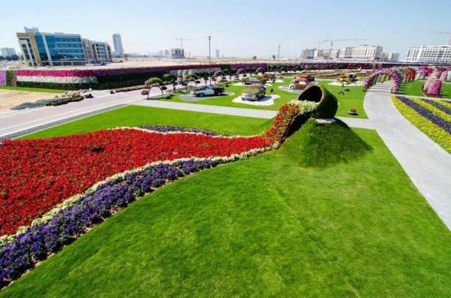 Уникальный сад в Дубае удивит даже самых придирчивых