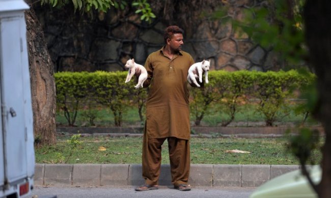 Жизнь людей в Пакистане