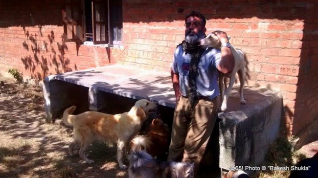 Собачий папа: мужчина заботится сразу о 735 собаках