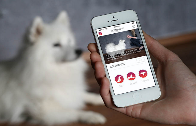 Приложения для iphone о домашних животных