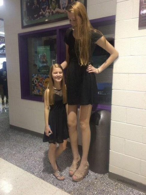 Девушки высокого роста (18 фото)